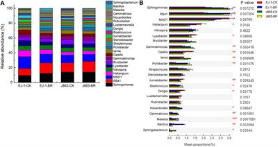 Effect of incorporation of broccoli residues into soil on occurrence of verticillium wilt of spring-sowing-cotton and on rhizosphere microbial communities structure and function